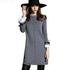 Autumn Winter Women Sweater Dress